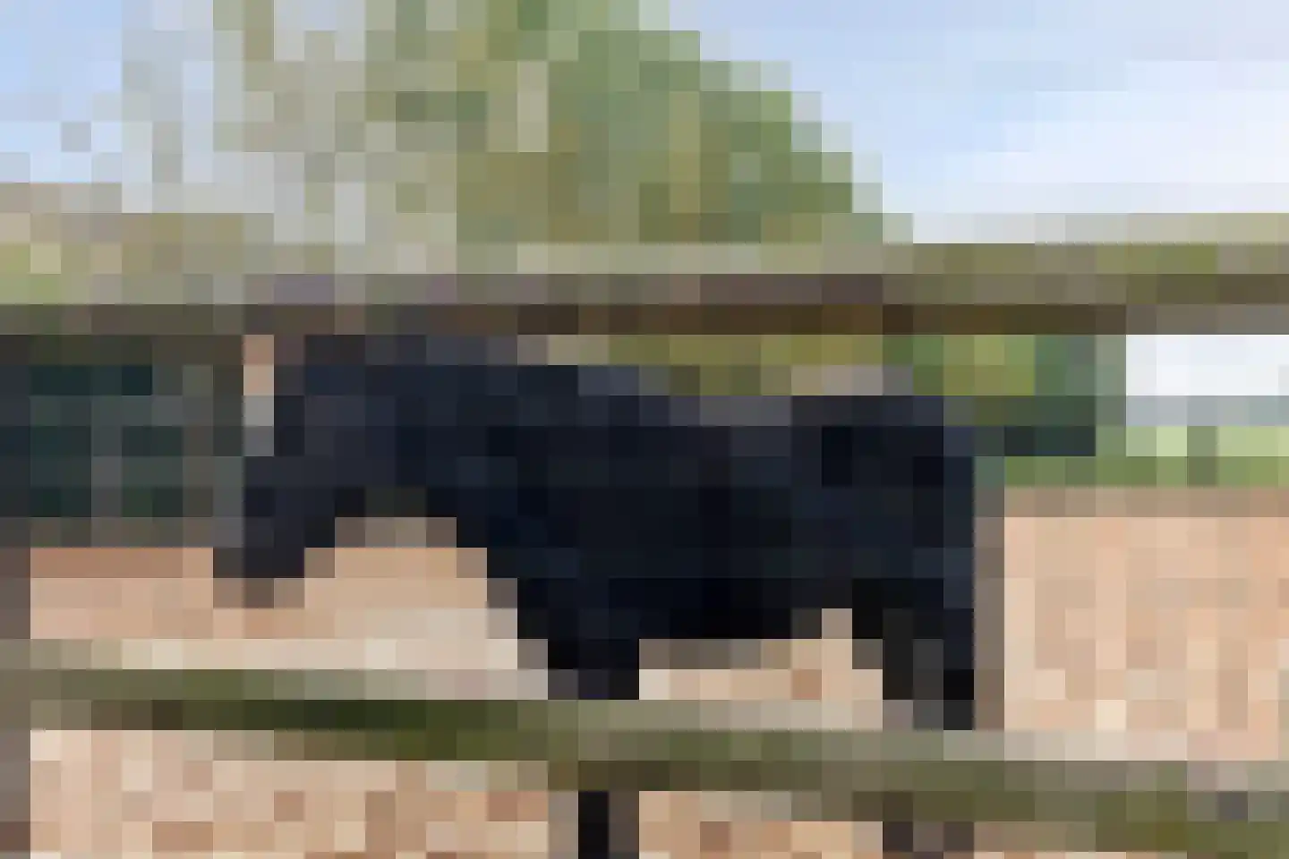 Wijkersloot 27 Wijk bij Duurstede thumbnail 62