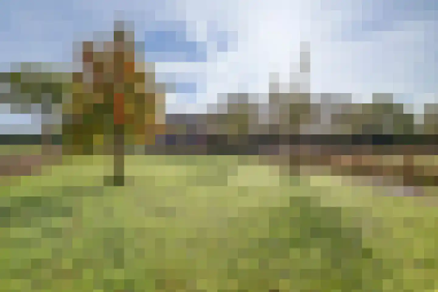 Wijkersloot 27 Wijk bij Duurstede thumbnail 64