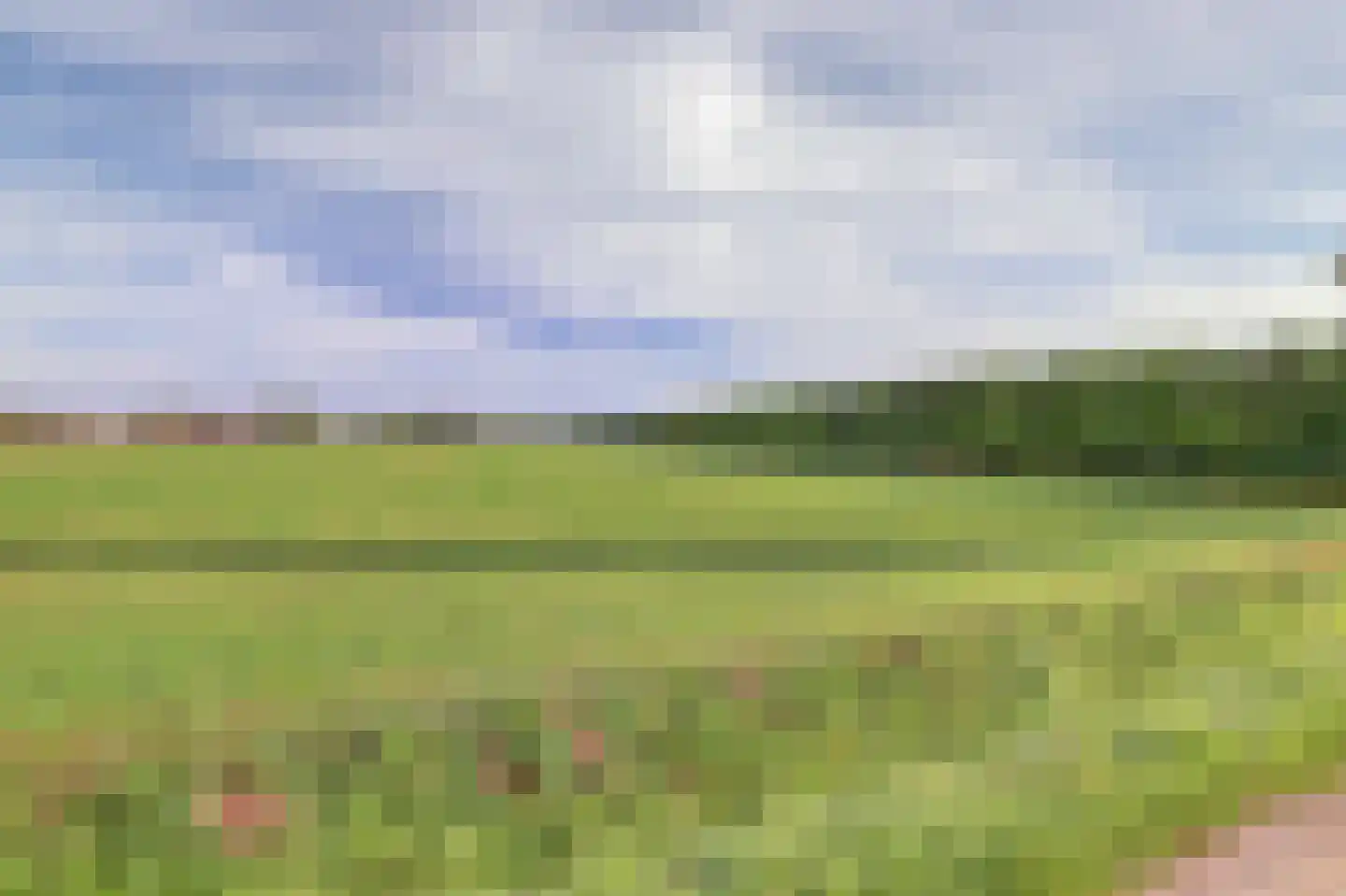 Wijkersloot 27 Wijk bij Duurstede thumbnail 75