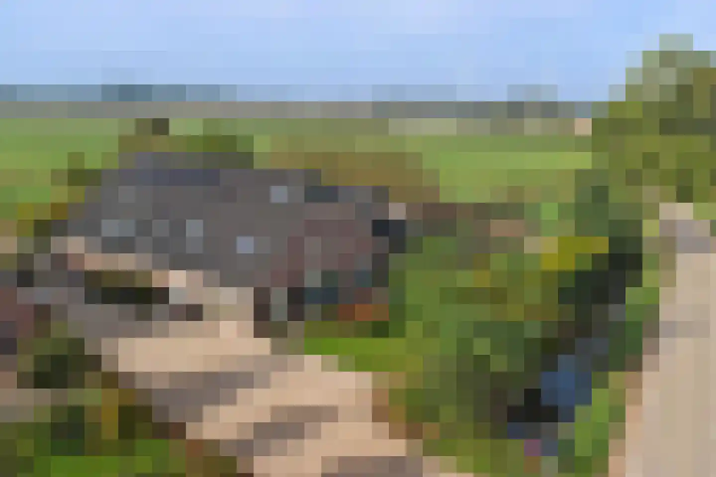 Wijkersloot 27 Wijk bij Duurstede thumbnail 76