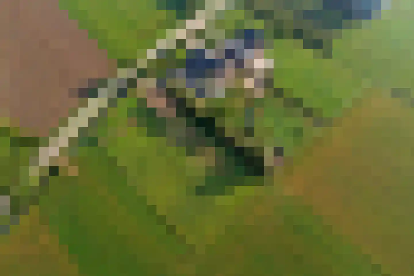 Wijkersloot 27 Wijk bij Duurstede thumbnail 81