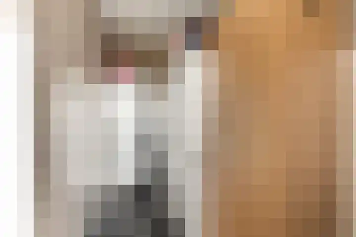 Wijkersloot 8 Cothen thumbnail 35
