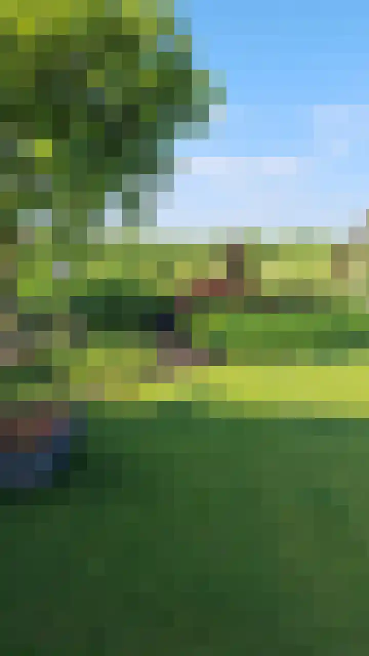 Wijkersloot 8 Cothen thumbnail 46
