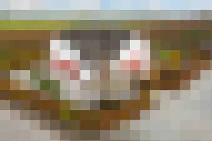 Wijkersloot 8 Cothen thumbnail 57