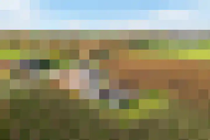Wijkersloot 8 Cothen thumbnail 60