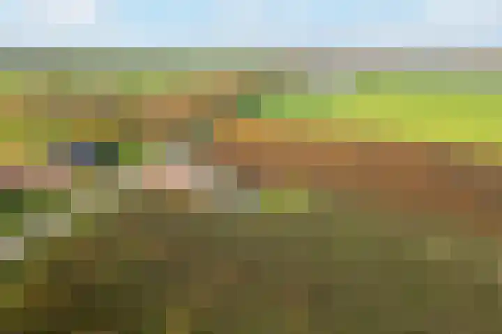 Wijkersloot 8 Cothen thumbnail 61