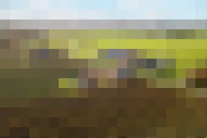 Wijkersloot 8 Cothen thumbnail 62