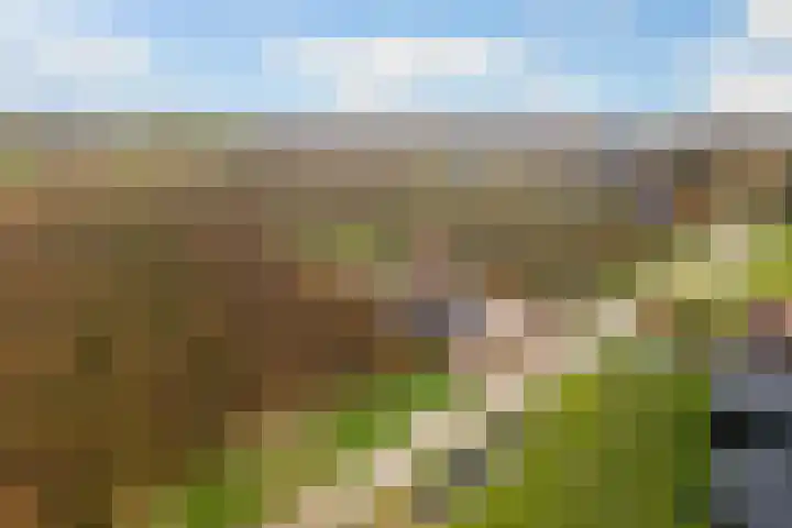 Wijkersloot 8 Cothen thumbnail 65