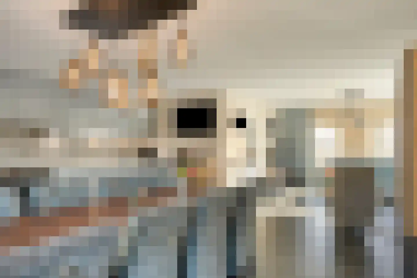 Wijkerstein 4 Oss thumbnail 13