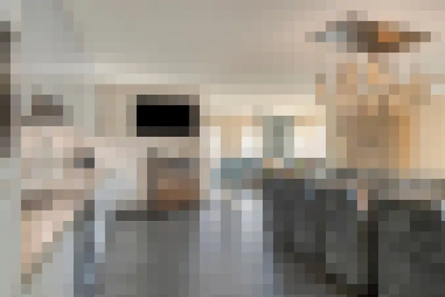 Wijkerstein 4 Oss thumbnail 15