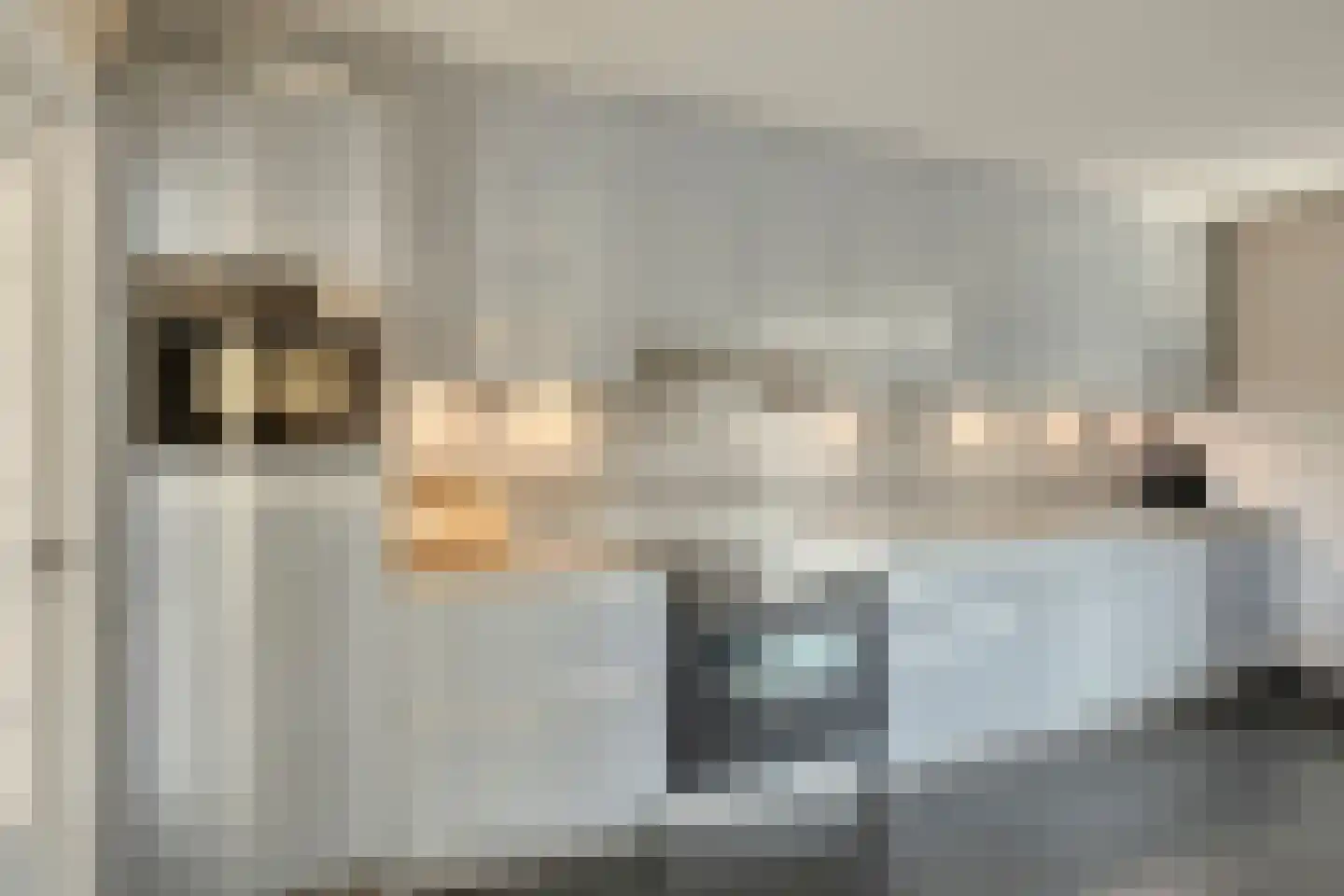 Wijkerstein 4 Oss thumbnail 16