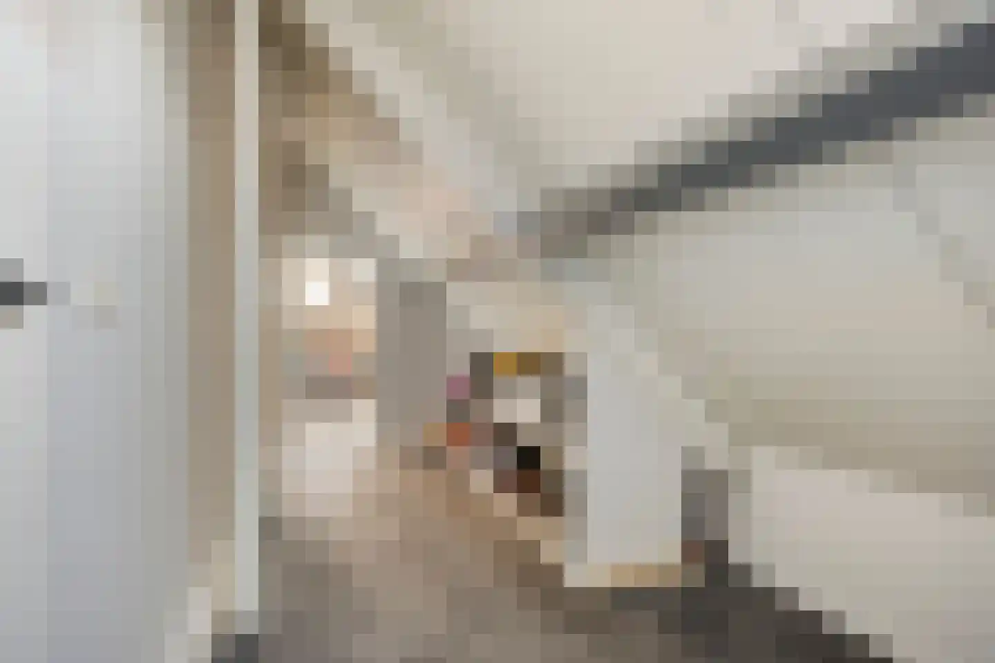 Wijkerstein 4 Oss thumbnail 36