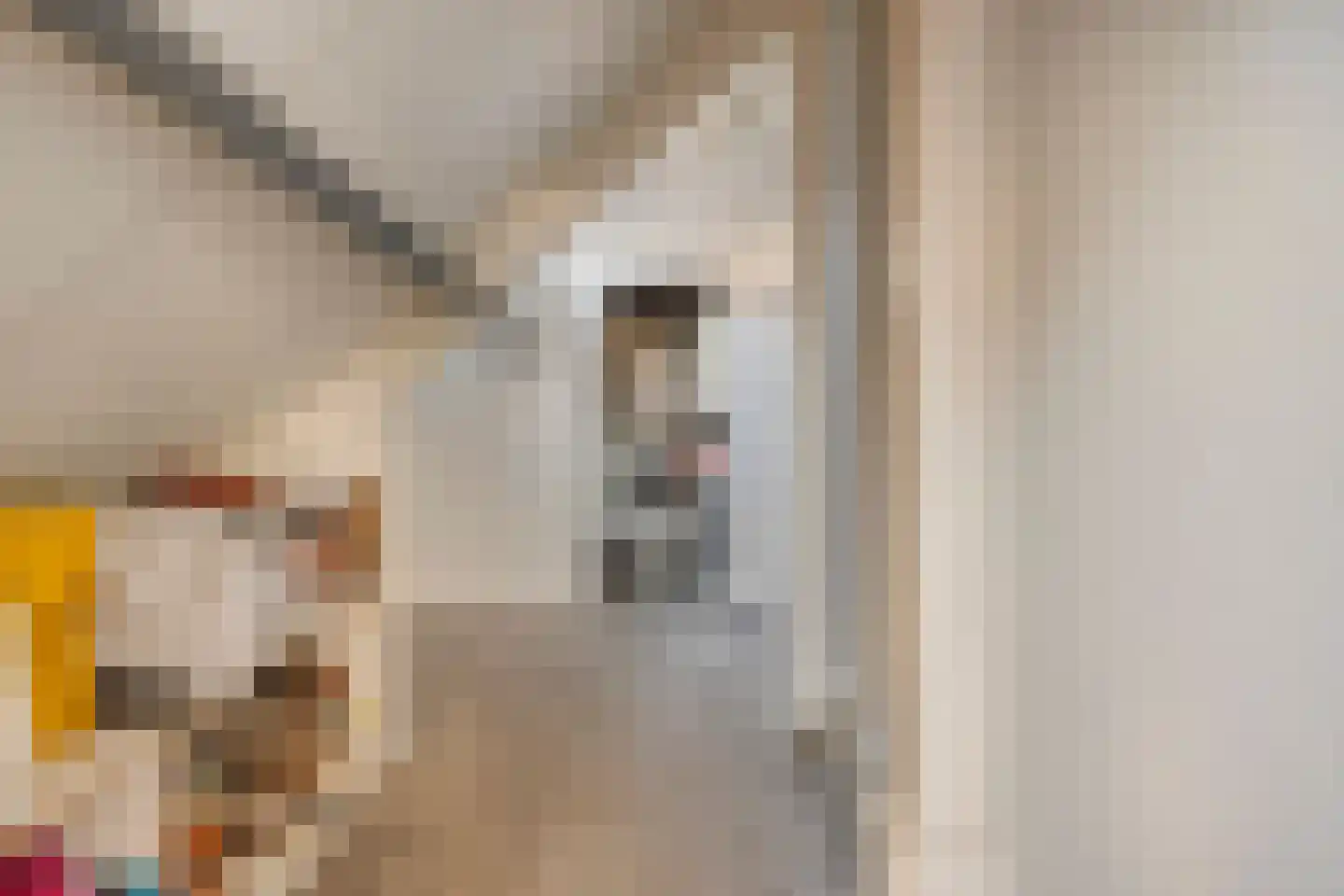 Wijkerstein 4 Oss thumbnail 37