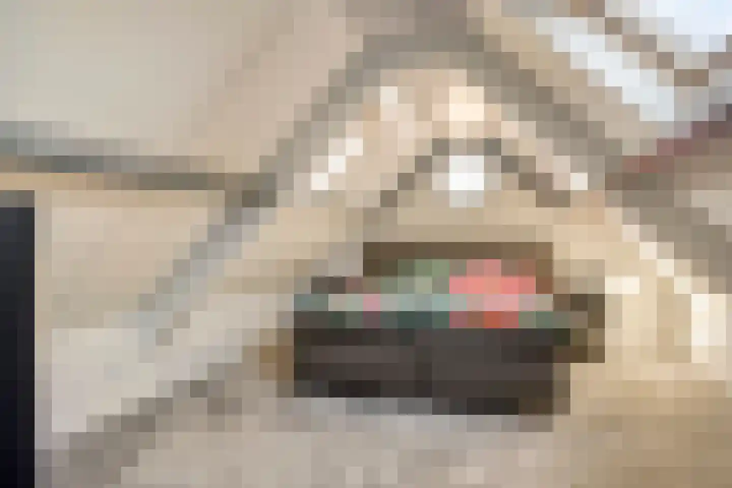 Wijkerstein 4 Oss thumbnail 38