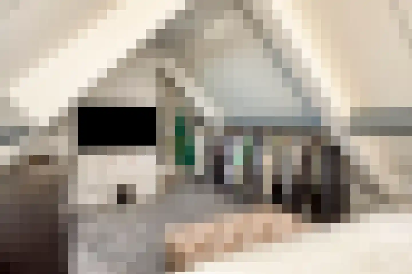 Wijkerstein 4 Oss thumbnail 42