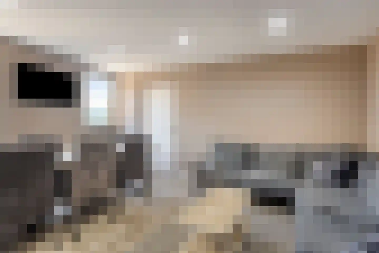 Wijkerstein 4 Oss thumbnail 51