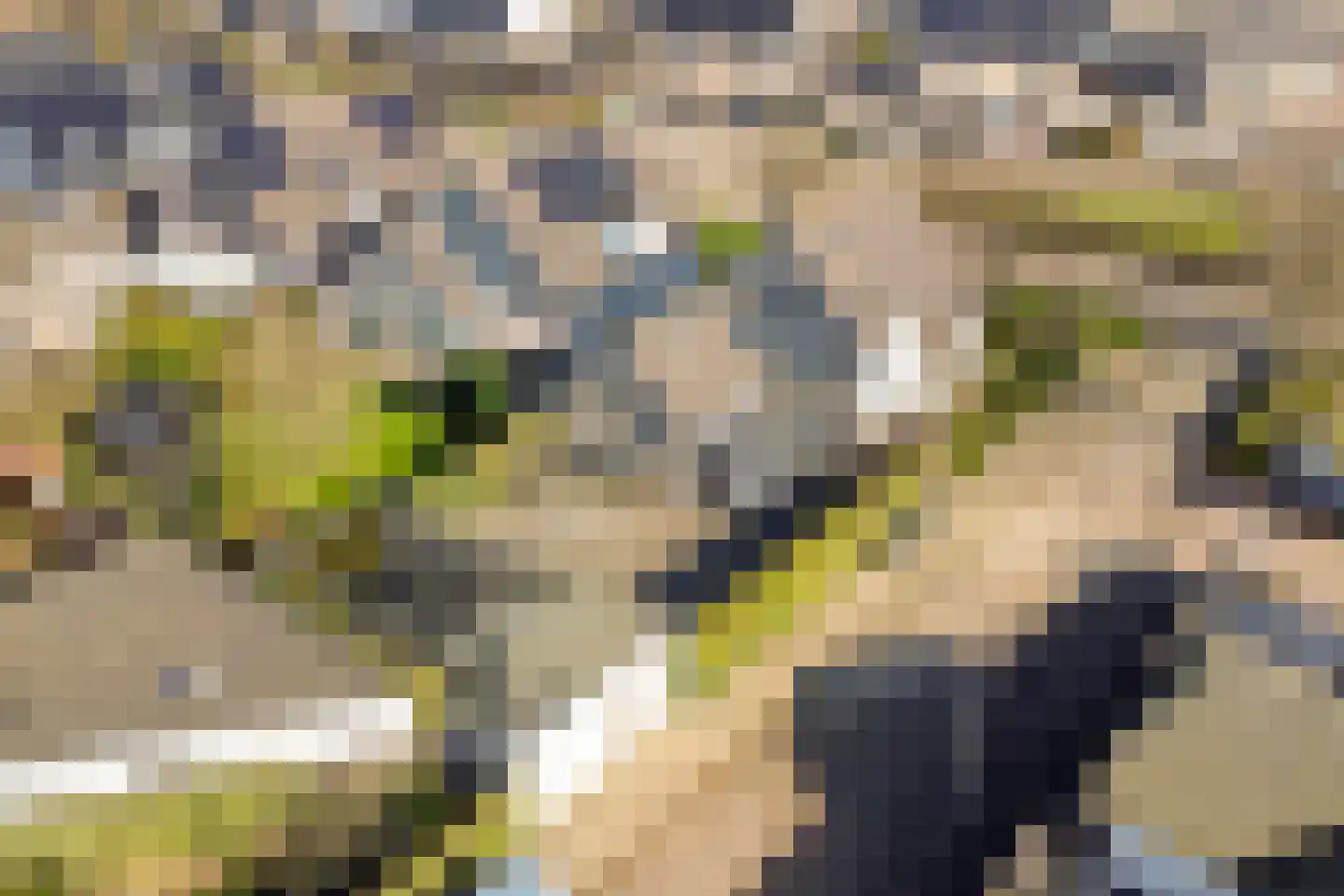 Wijkerstein 4 Oss thumbnail 57