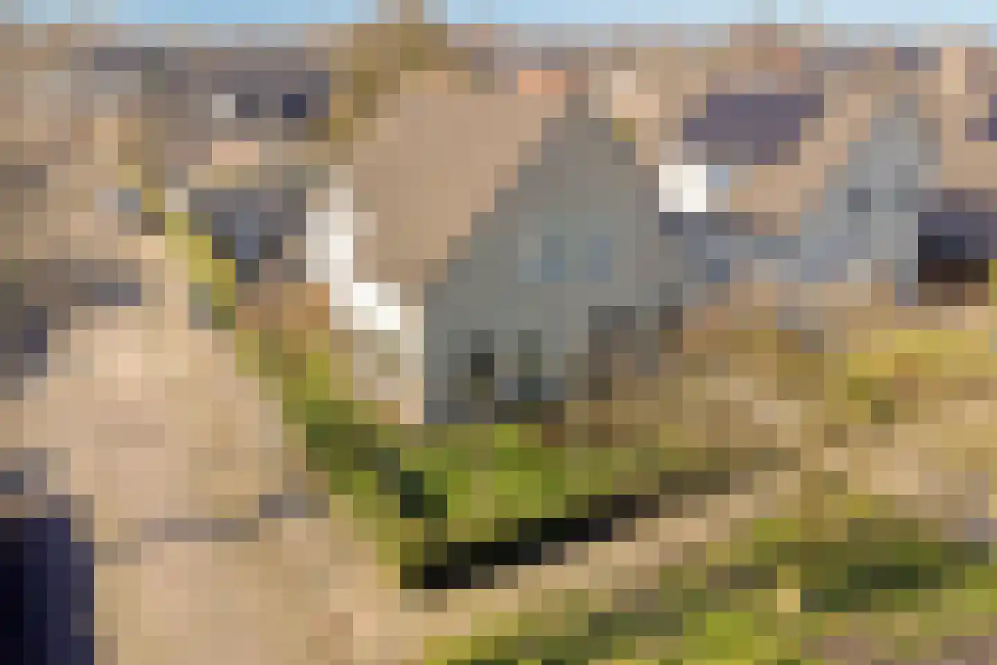 Wijkerstein 4 Oss thumbnail 58