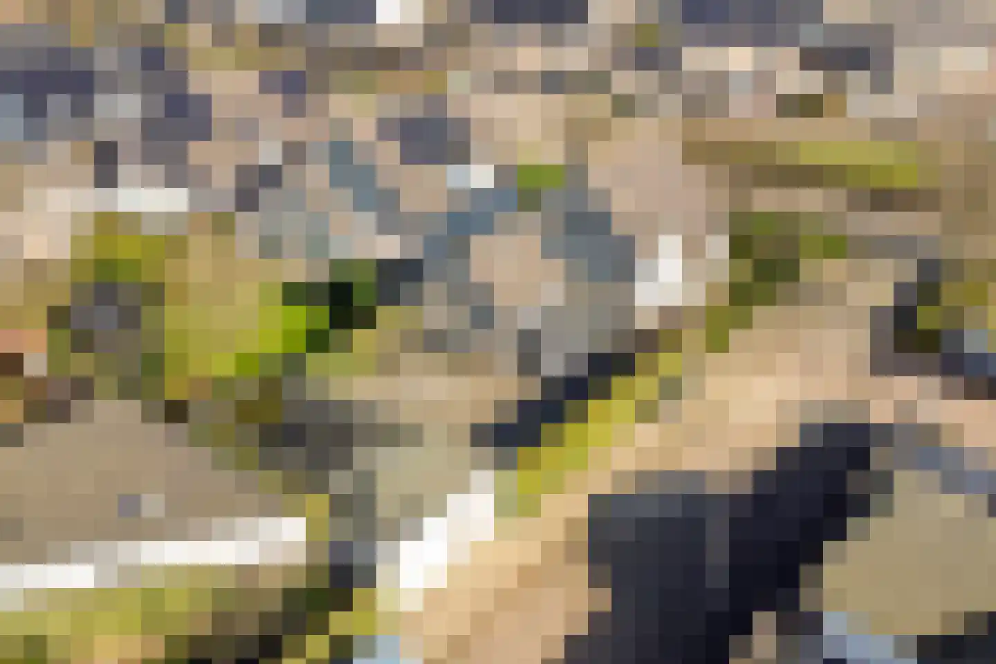 Wijkerstein 4 Oss thumbnail 58