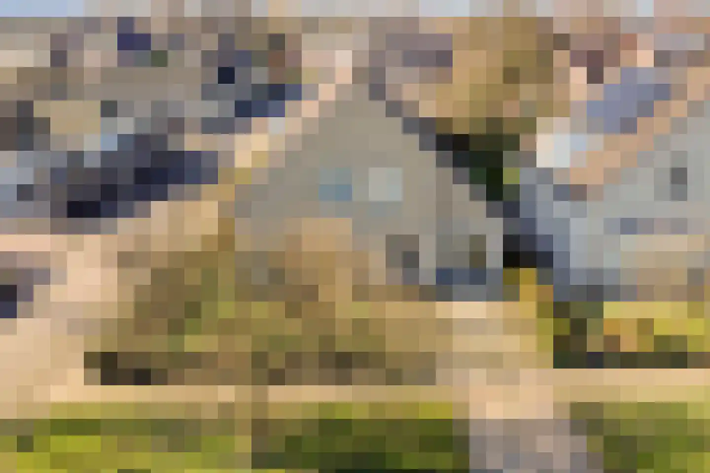 Wijkerstein 4 Oss thumbnail 59