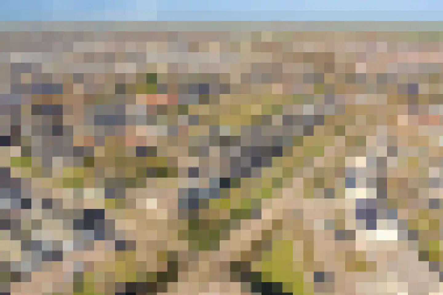 Wijkerstein 4 Oss thumbnail 62