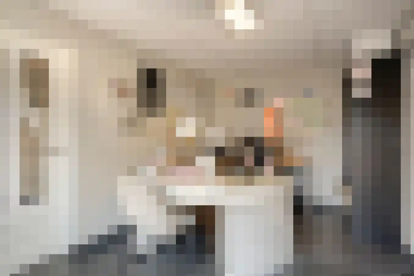 Wijkerstein 4 Oss thumbnail 7
