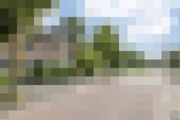 Wijkerstraatweg 108 Velsen-Noord thumbnail 45