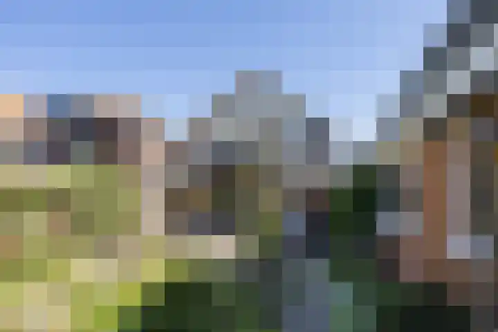 Wijkerstraatweg 243 Velsen-Noord thumbnail 24