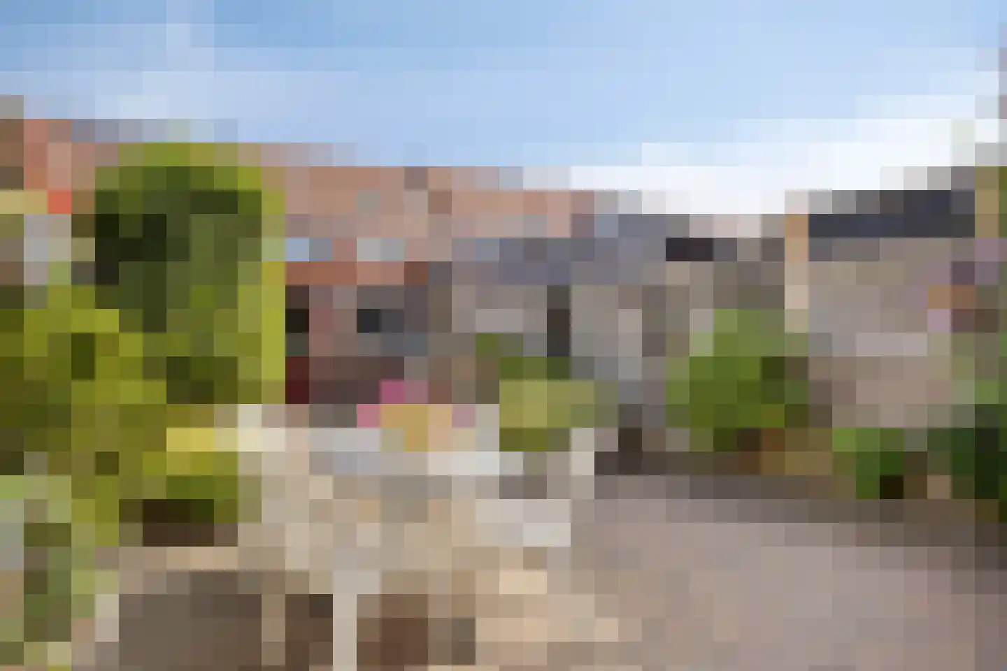 Wijkerstraatweg 268 Velsen-Noord thumbnail 26