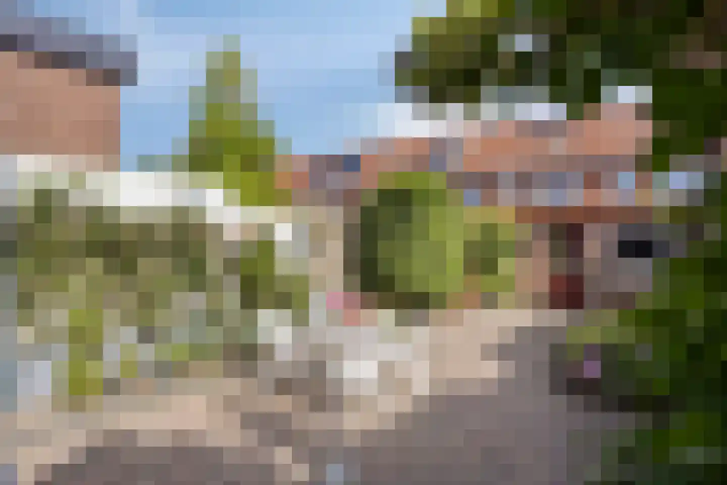 Wijkerstraatweg 268 Velsen-Noord thumbnail 4