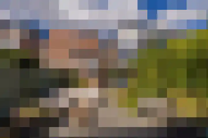 Wijkerstraatweg 270 Velsen-Noord thumbnail 45