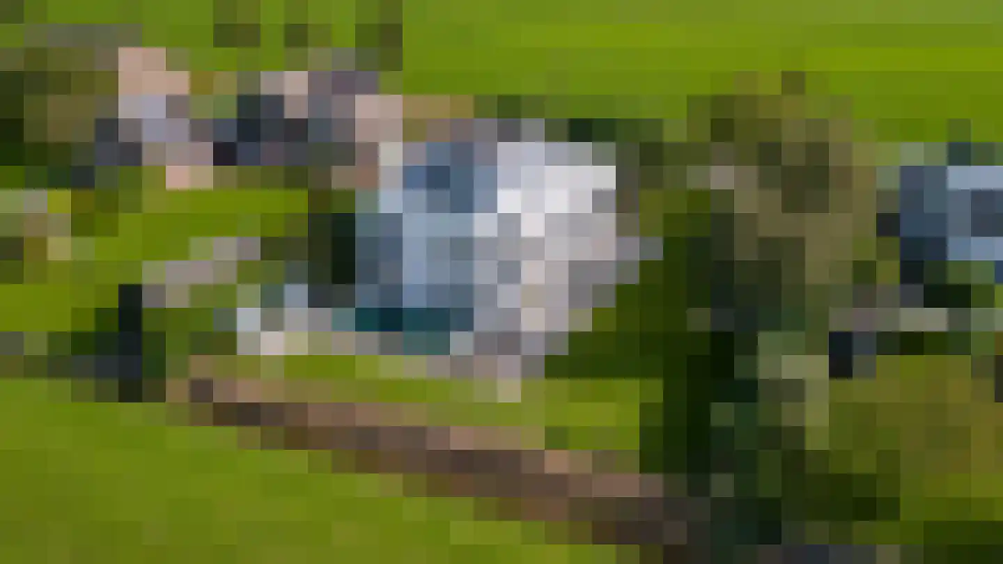 Wijkerweg 31 Langbroek thumbnail 33