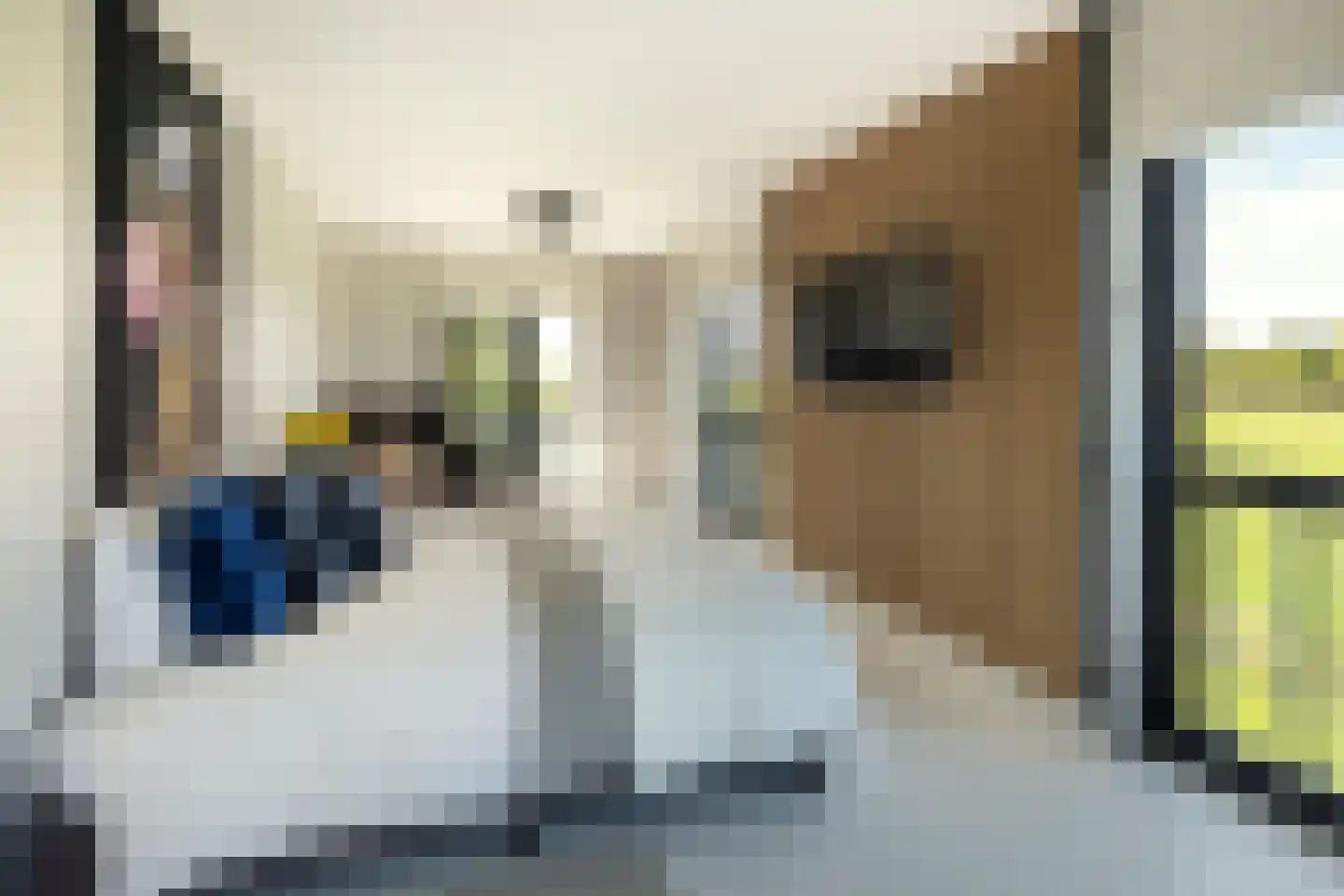 Wijkerweg 31 Langbroek thumbnail 4