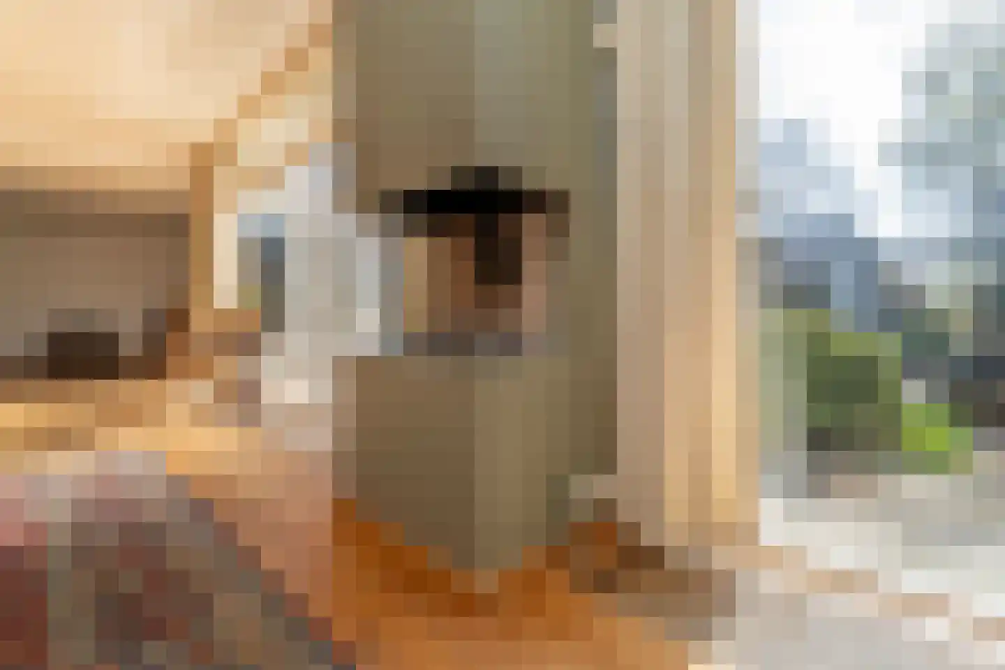 Wijkevoort 7 Riel thumbnail 12