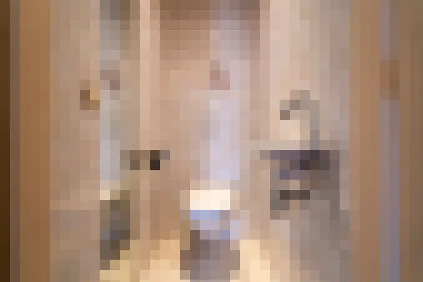 Wijkevoort 7 Riel thumbnail 31