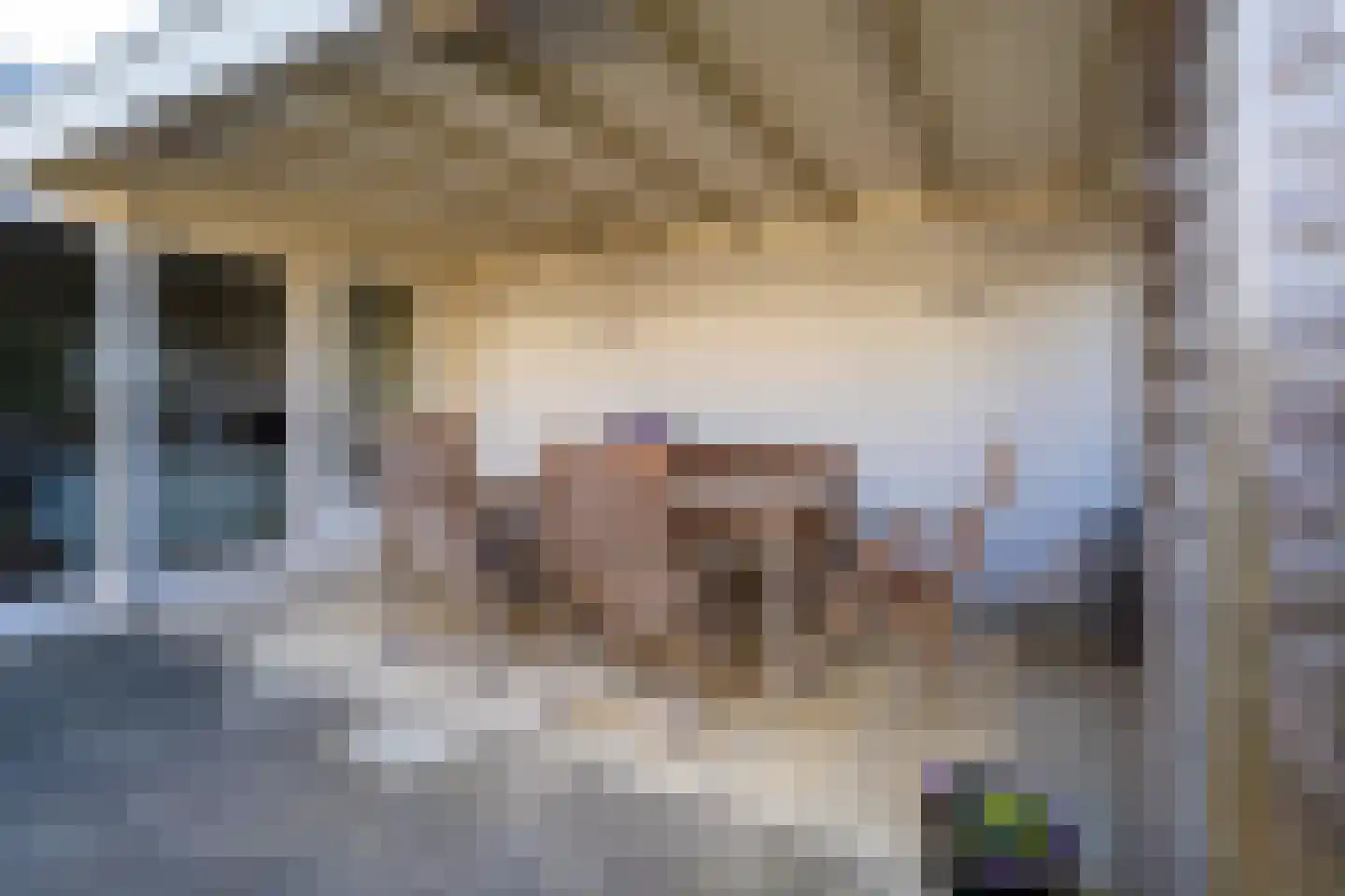 Wijkevoort 7 Riel thumbnail 38