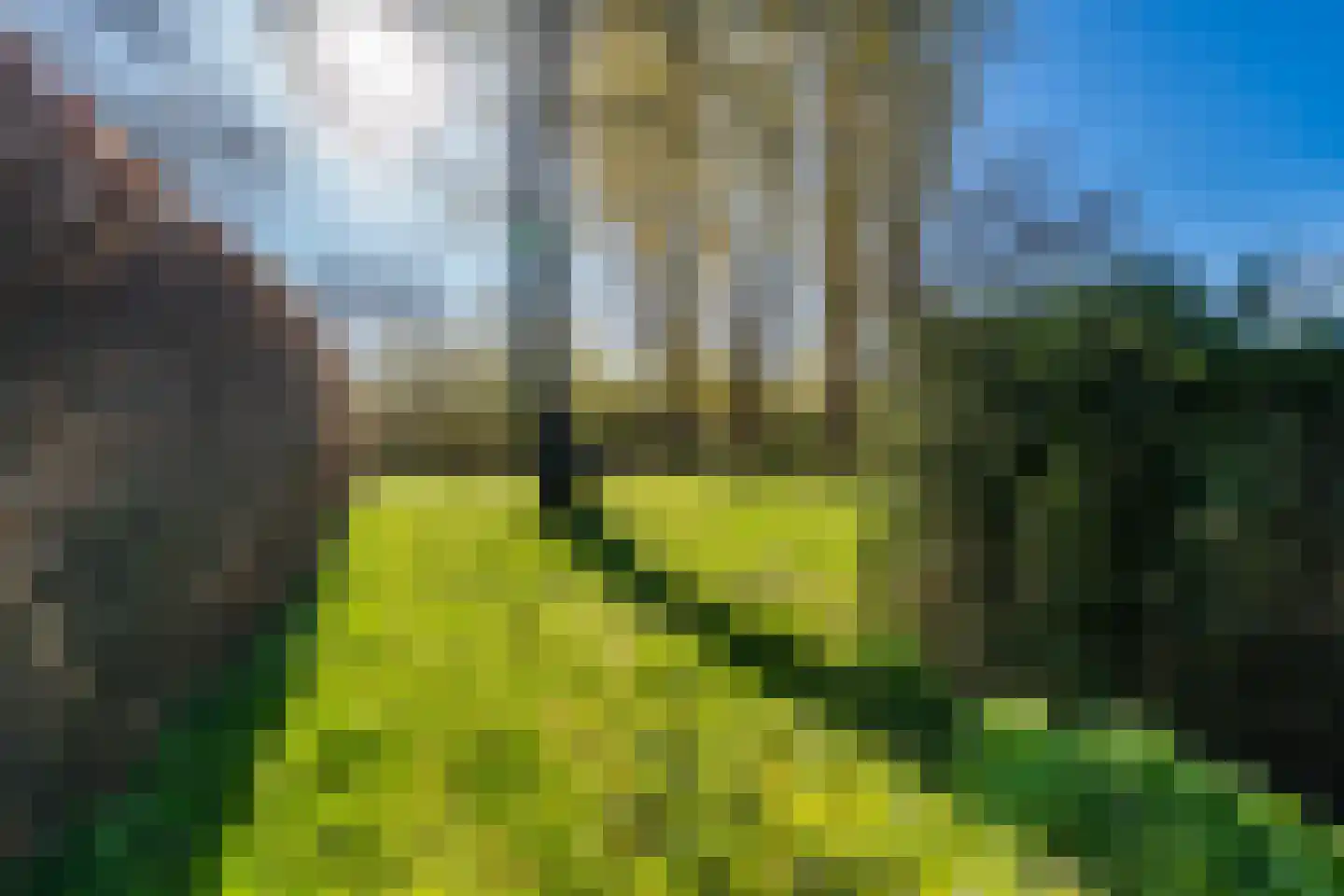 Wijkevoort 7 Riel thumbnail 42