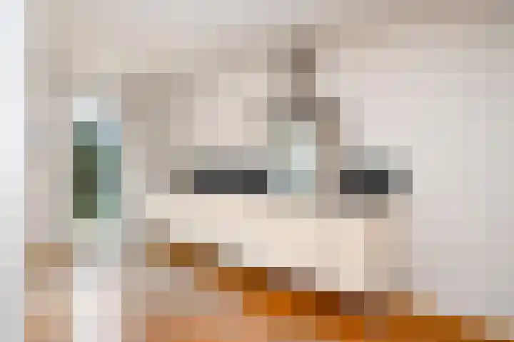 Wijkmeestersdreef 23 Maastricht thumbnail 19