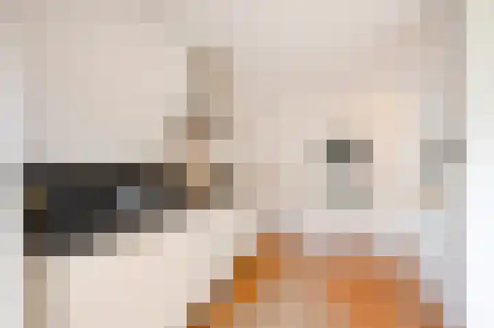 Wijkmeestersdreef 23 Maastricht thumbnail 20