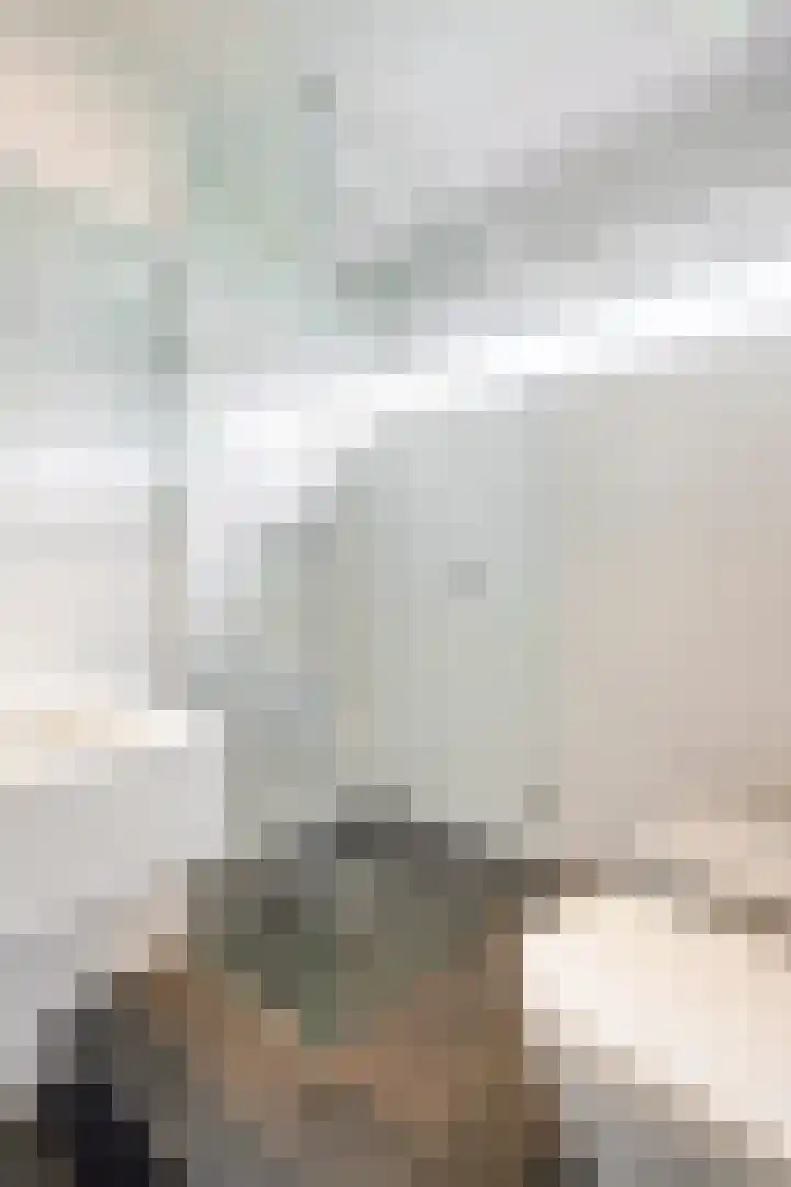 Wijkmeestersdreef 23 Maastricht thumbnail 33