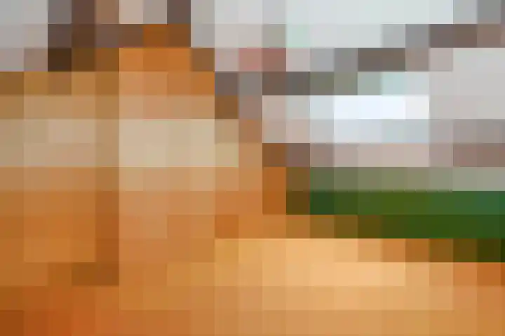 Wijkmeestersdreef 23 Maastricht thumbnail 36
