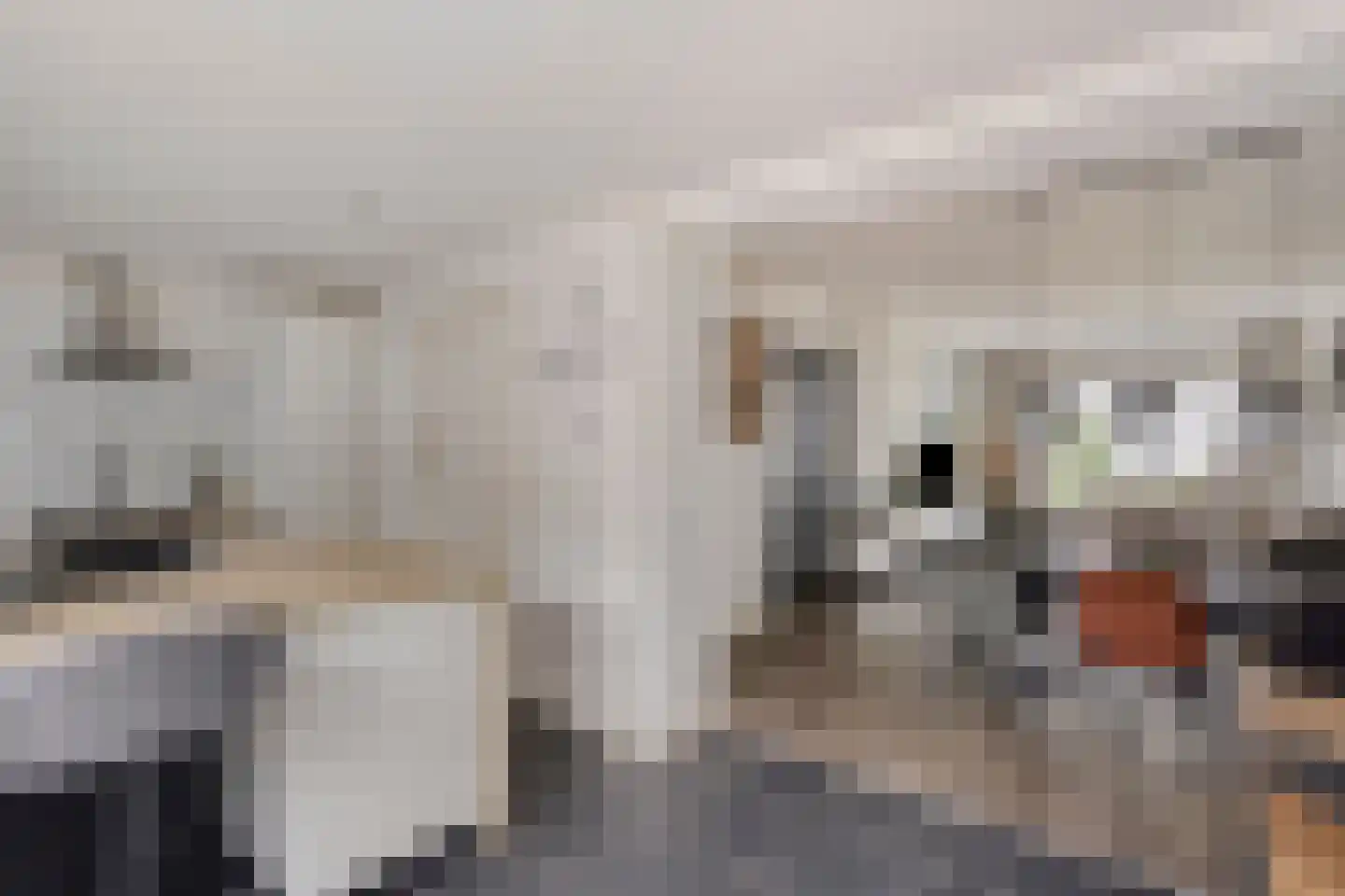 Wijkmeestersdreef 29 Maastricht thumbnail 10