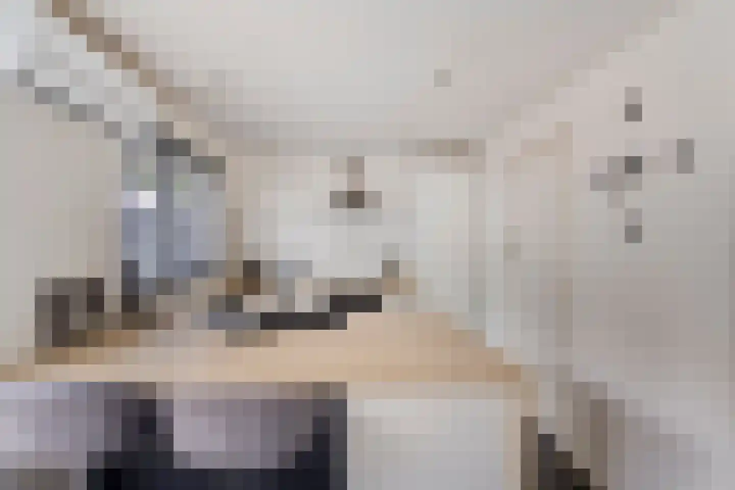 Wijkmeestersdreef 29 Maastricht thumbnail 11