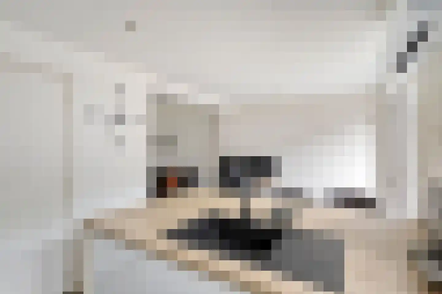 Wijkmeestersdreef 29 Maastricht thumbnail 13