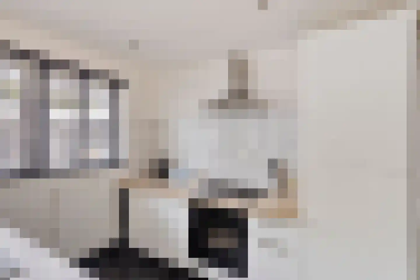 Wijkmeestersdreef 29 Maastricht thumbnail 14