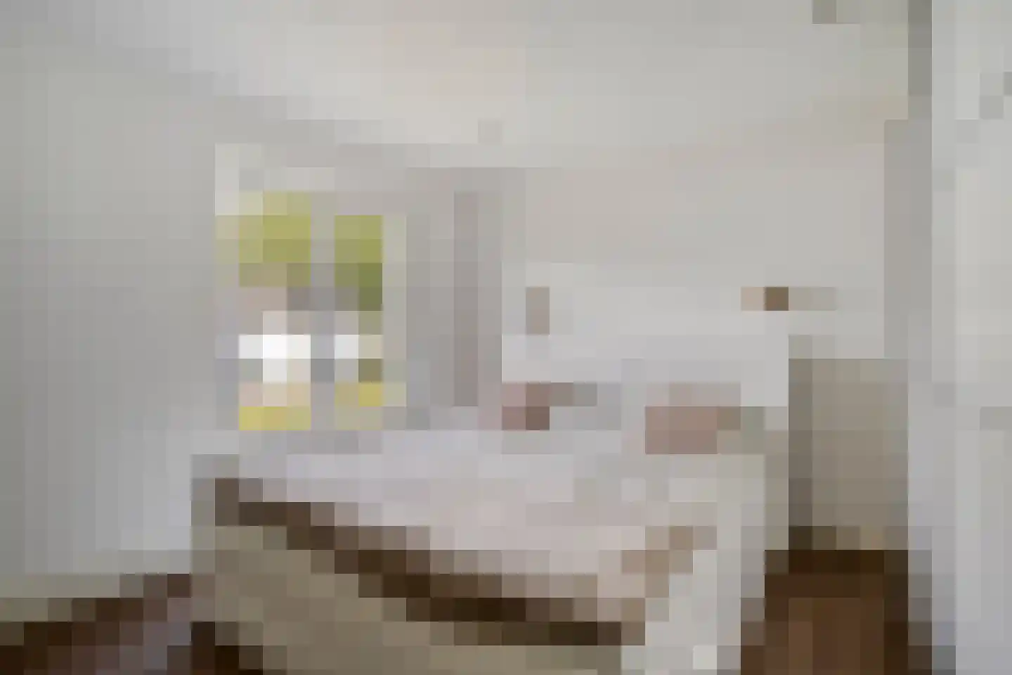 Wijkmeestersdreef 29 Maastricht thumbnail 17