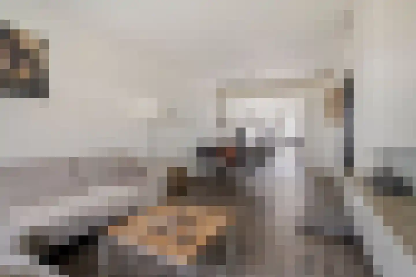 Wijkmeestersdreef 29 Maastricht thumbnail 7