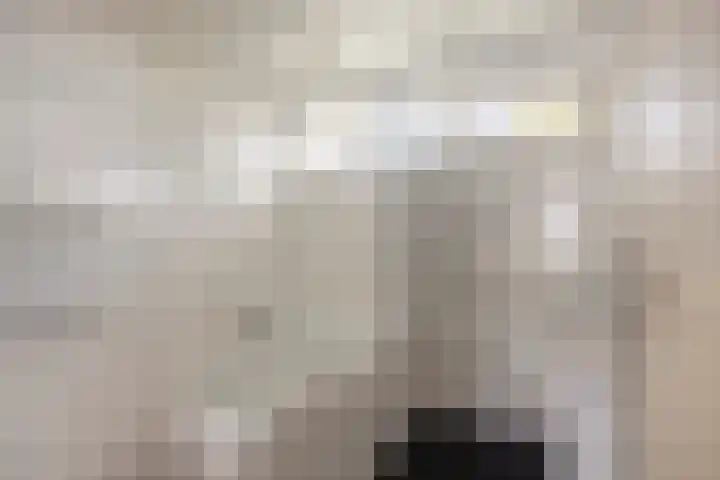 Wijkmeestersdreef 45 Maastricht thumbnail 13