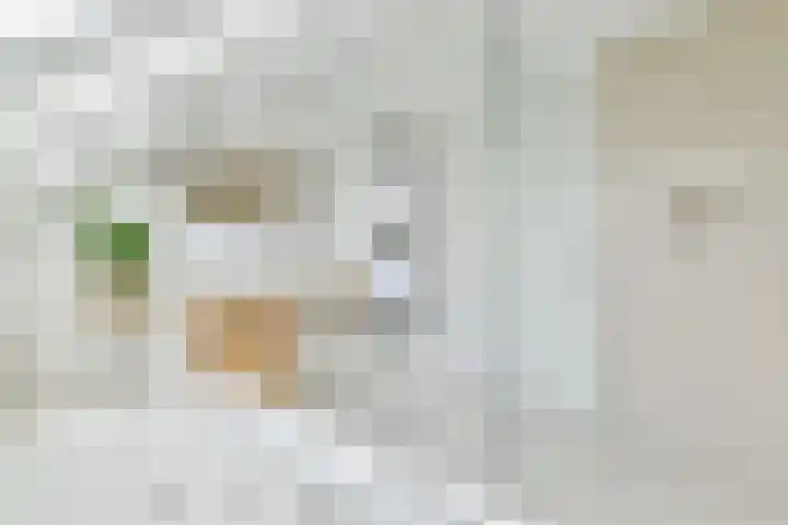 Wijkplaats 14 Naarden thumbnail 26