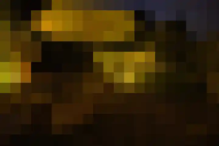 Wijkplaats 14 Naarden thumbnail 36